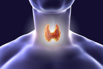 Thyroid Recall: What's going on